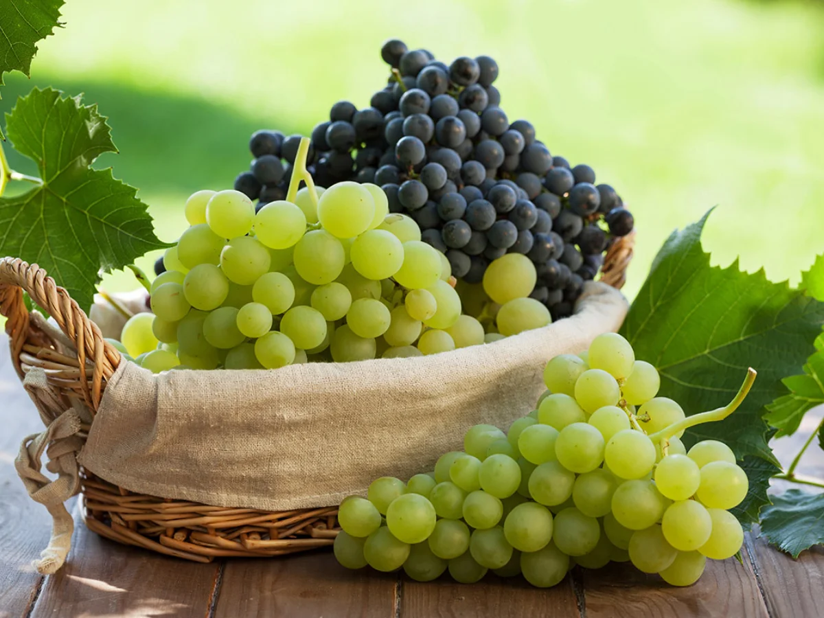 Grapes